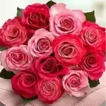 Blushing Beauty